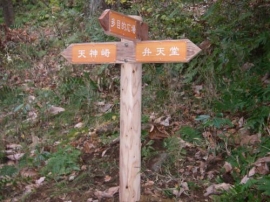 間伐材利用標識